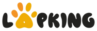 LapKing