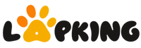 LapKing