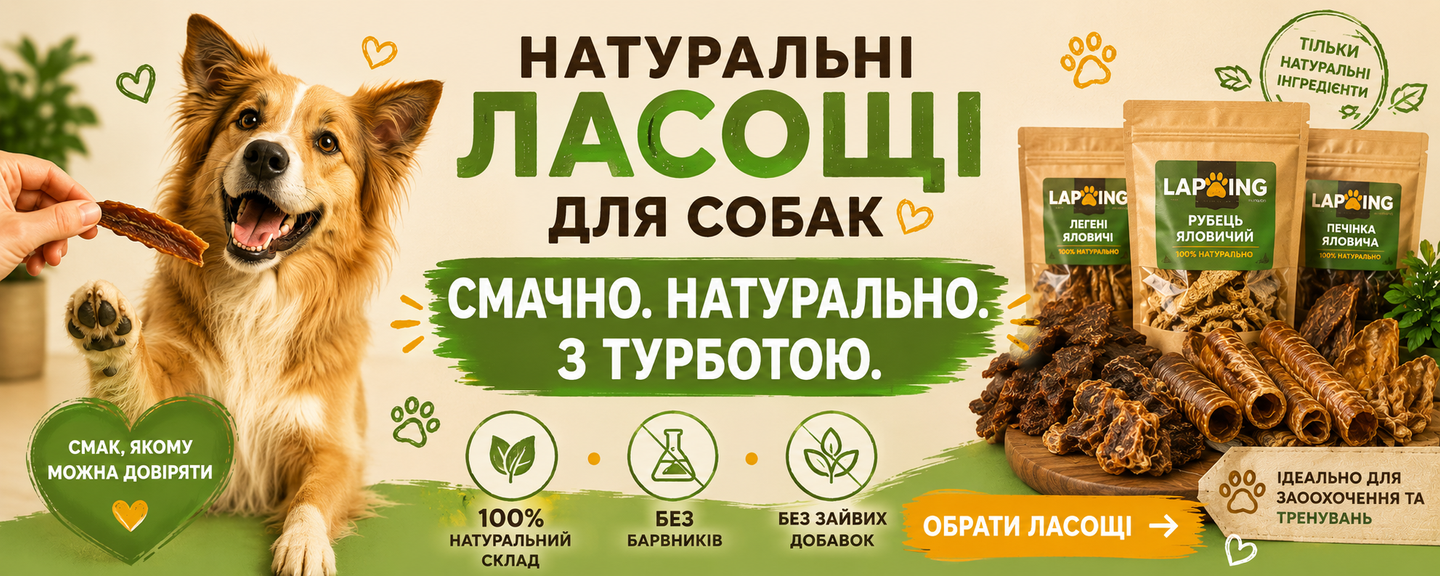 Banner from design